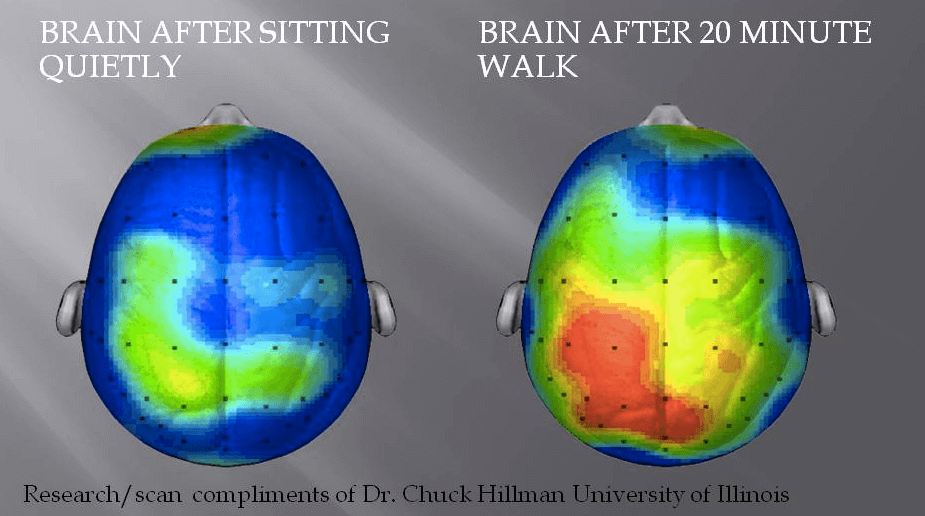 brain-image-exercise-1